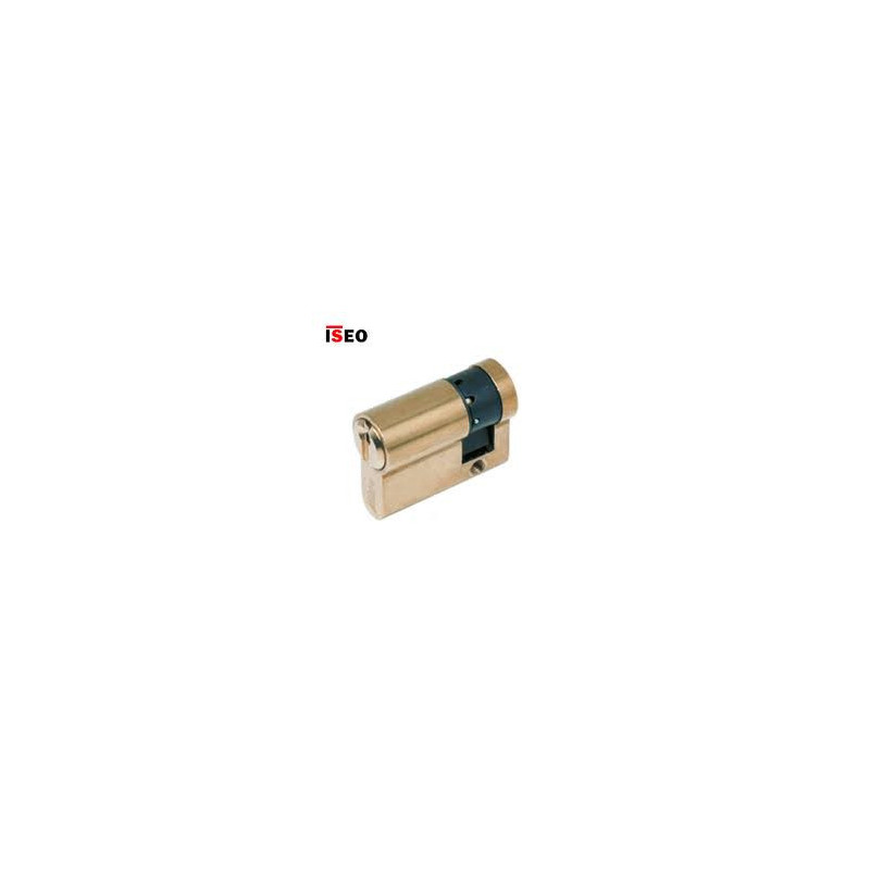 ISEO ultimate acces technologies mechanical bobmin F5 30 10