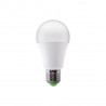 BOMBILLA LED STD E27 15W 1500lm 6000K